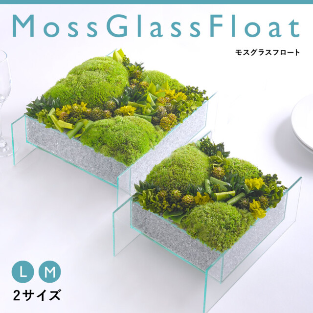 苔（Moss）