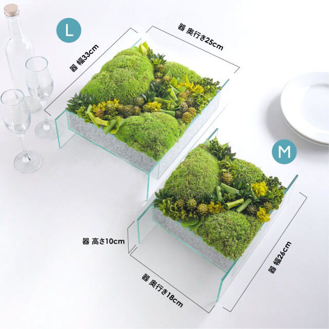 プリザーブドフラワー 苔 #モスグラスフロート〈L・M〉 送料無料