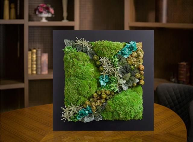 ベルフルール　苔　プリザーブドフラワー　アレンジメント　インテリア gfl-size.jpg?t=20250220121227