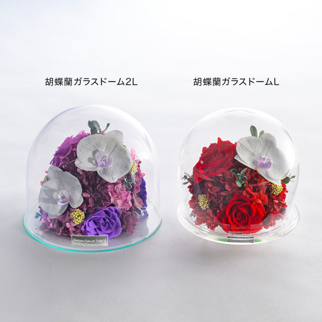新品ガラスドーム入りプリザーブドフラワーバラ２本立ち _DSC6753_950.jpg?t=20260623121938