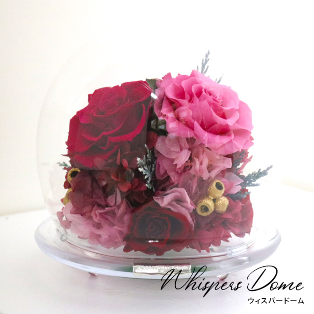 【期間限定】ウィスパードーム