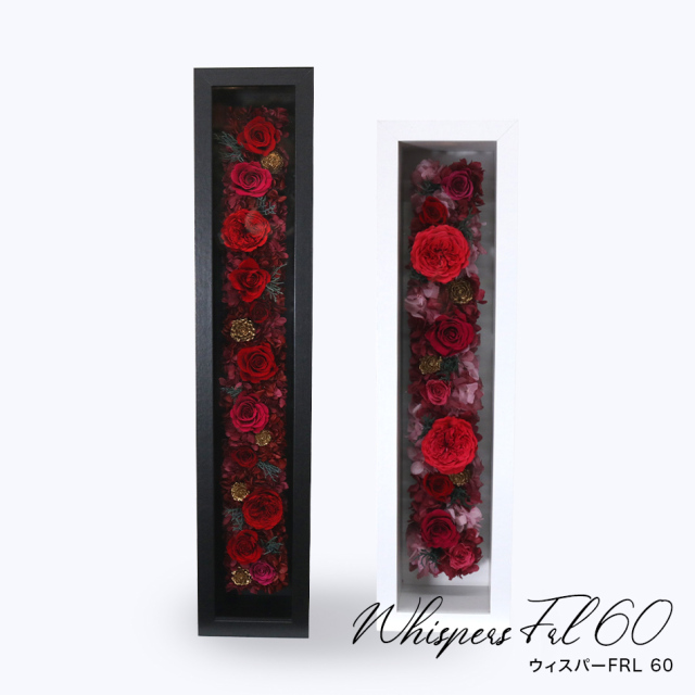 【期間限定】 ウィスパーFRL45