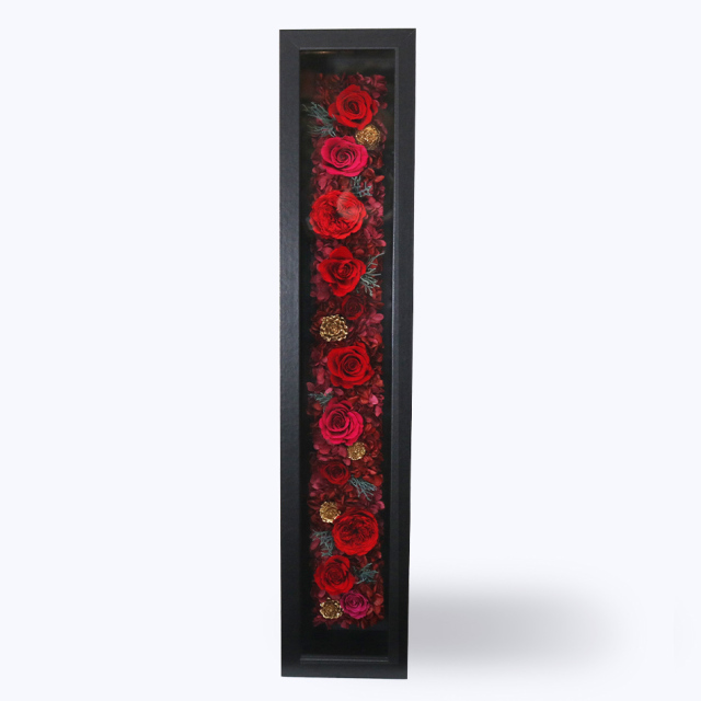 「期間限定」 ウィスパーFRL60