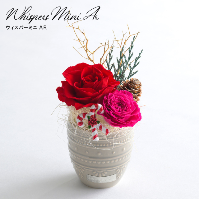 ウィスパー ミニAR