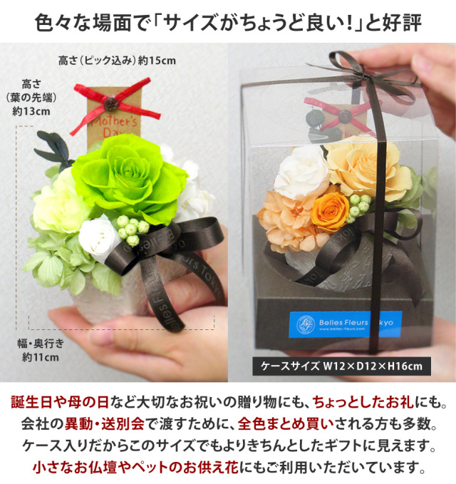 即日発送 プリザーブドフラワー シュシュ 送料無料 即日発送 プリザーブドフラワー シュシュ 送料無料