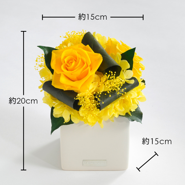 プリザーブドフラワー花材 kmk プリザーブドフラワー花材 kmk プリザーブドフラワー花材 kmk