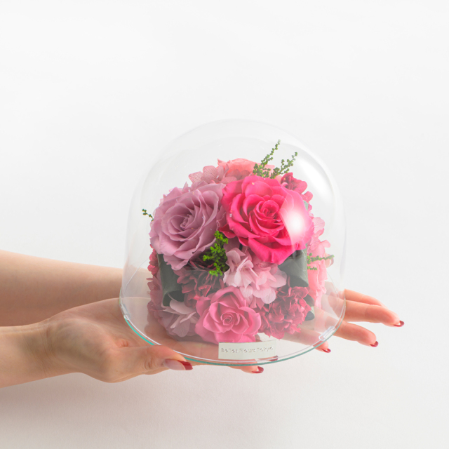 deuxR ドーム　2個セット 楽天市場】『13cm 2way 300W』2個セット カースピーカー ドーム