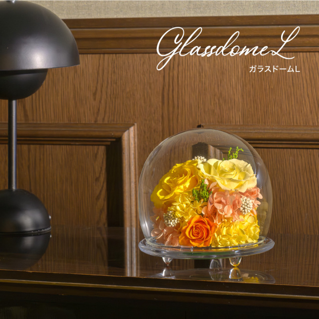 プロポーズ 花 プレゼント おすすめ プリザーブドフラワー ガラスドームL