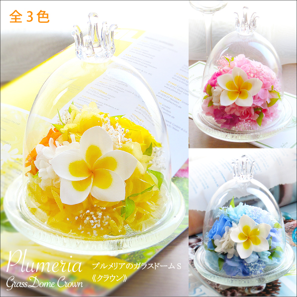 プルメリアのプリザーブドフラワー 誕生日やお祝いギフトに種類豊富