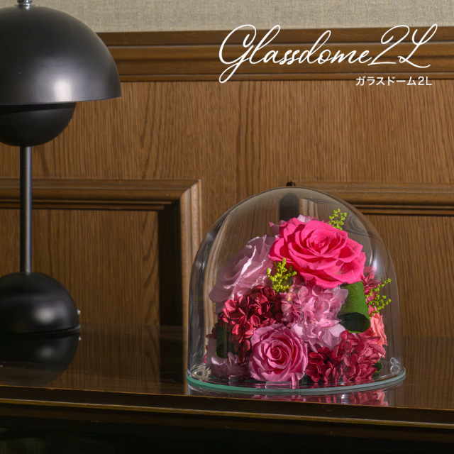 ガラスドーム2L