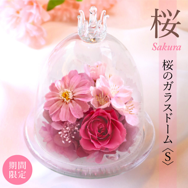 即日発送 プリザーブドフラワー 桜のガラスドーム S さくら