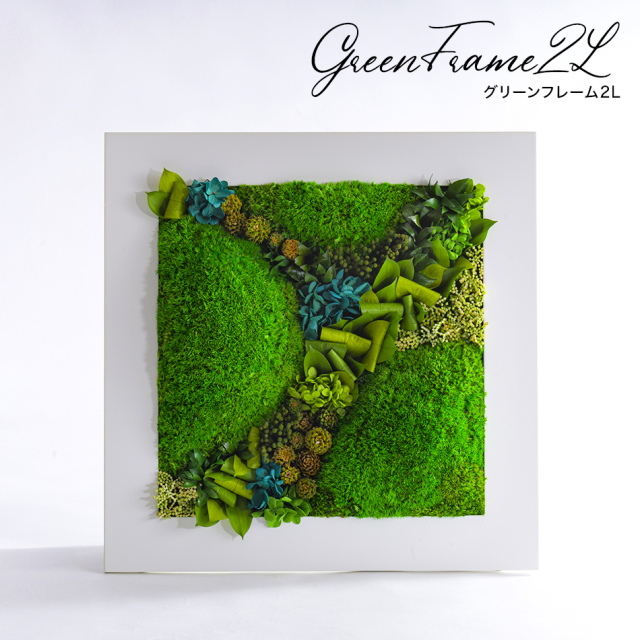 プリザーブドフラワー 苔 #グリーンフレーム2L＜スクエア＞ 送料無料