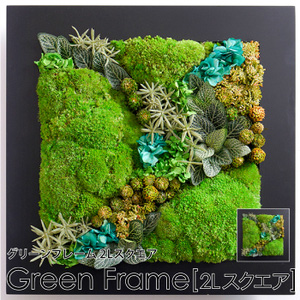 ベルフルール　苔　プリザーブドフラワー　アレンジメント　インテリア 苔が織りなす美しいアート | Belles Fleurs Tokyo プリザーブド