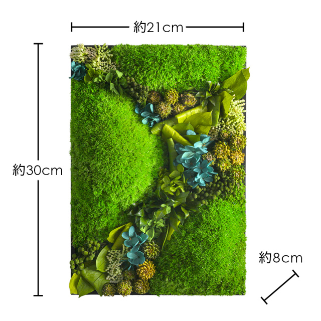 プリザーブドフラワー 苔 モス #グリーンウォール【300】送料無料