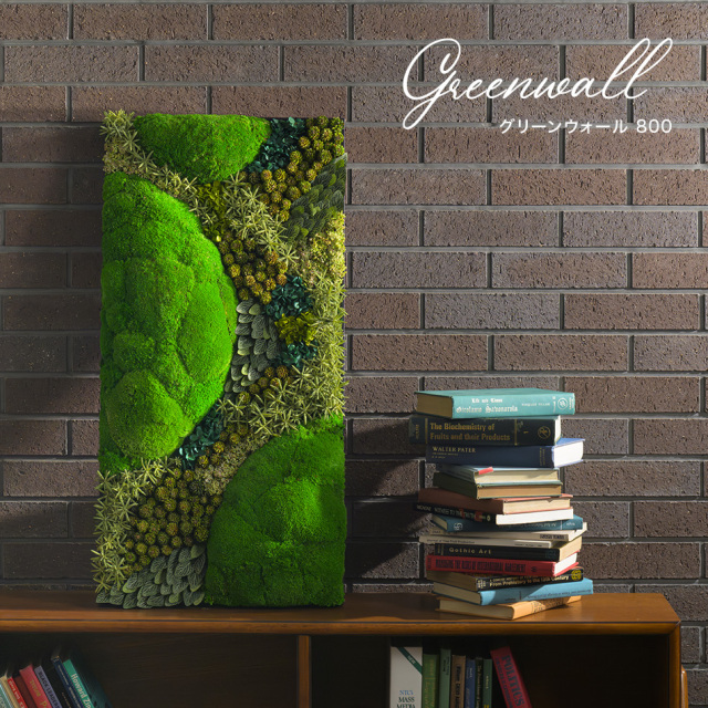 グリーンルーム Orange&Park カリフォルニア 額縁セット グリーンルーム Orange&Park カリフォルニア 額縁セット グリーン