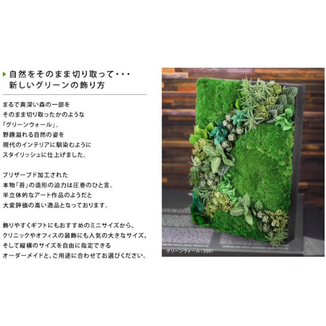 プリザーブドフラワー グリーンウォール【450】