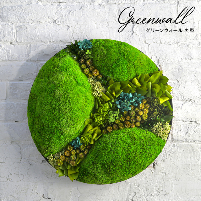 Greenwall 450 プリザーブドフラワーアレンジメント苔モス】