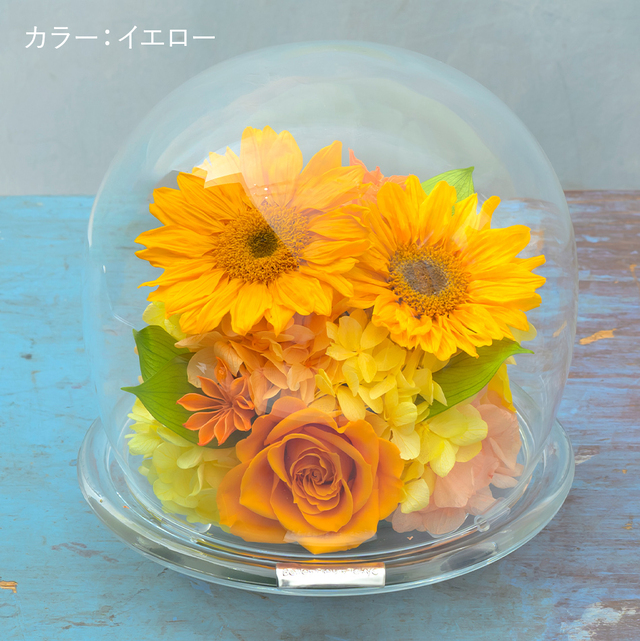 プリザーブドフラワー ひまわりガラスドームL