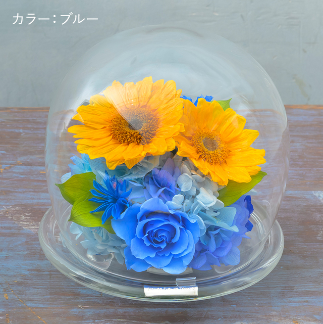 プリザーブドフラワー ひまわりガラスドームL