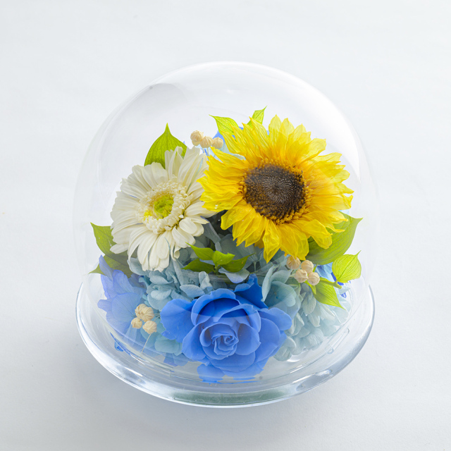 himg_btop.jpg?t=20250930114335