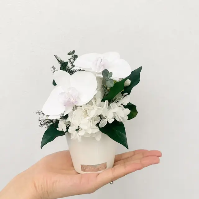 プリザーブドフラワー 仏花 お供え花 #胡蝶蘭アレンジメント◇