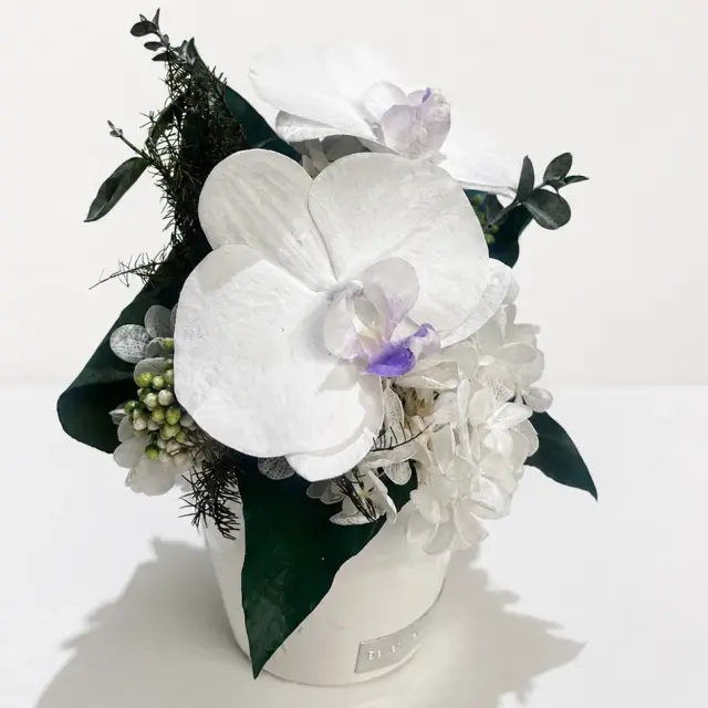 プリザーブドフラワー 仏花 お供え花 #胡蝶蘭アレンジメント◇