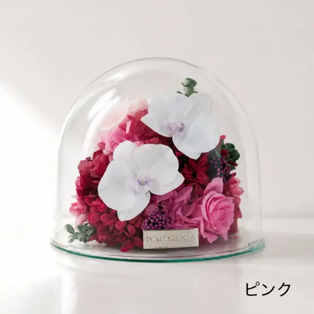 プリザーブドフラワー #胡蝶蘭のガラスドーム〈2L〉 送料無料