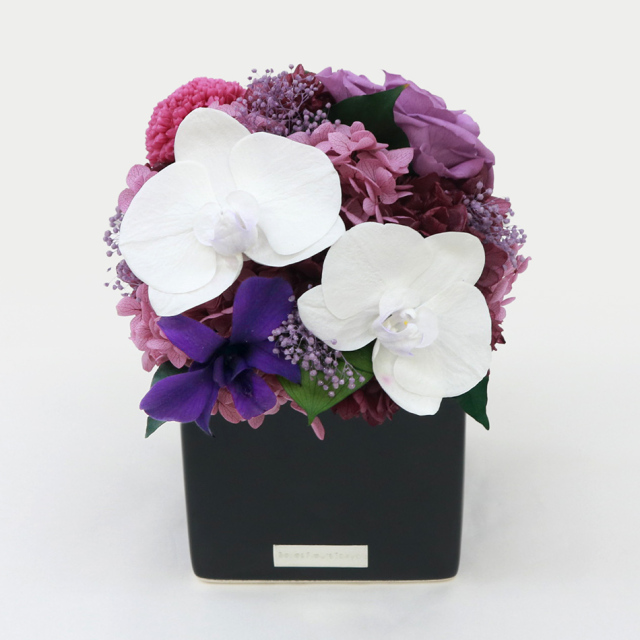 フラワーアレンジ　ジャンボサイズ　プリザーブドフラワー　造花無し　胡蝶蘭 再販】ホワイト&グリーンのBOXフラワーアレンジメント