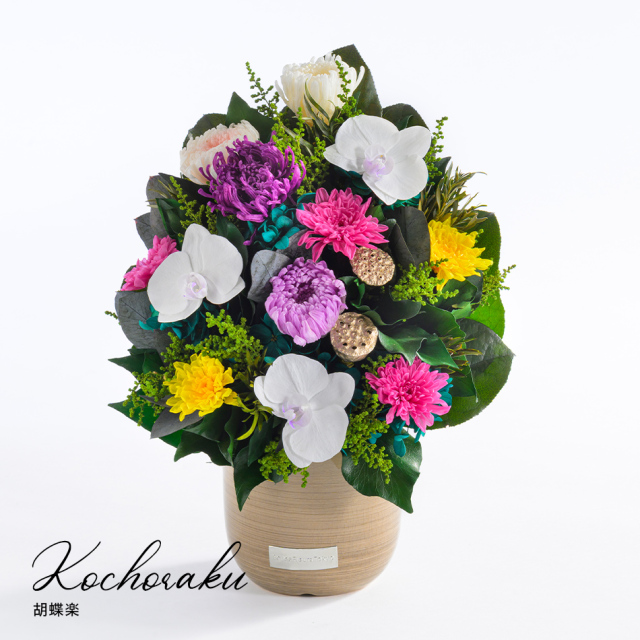 プリザーブドフラワー 胡蝶楽（こちょうらく）