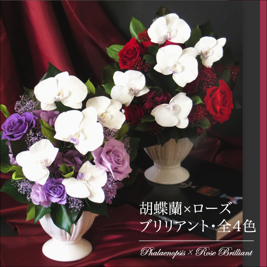 開店 開業 開院 就任祝いに贈る高級プリザーブドフラワー特集 ベル フルール 公式オンラインストア