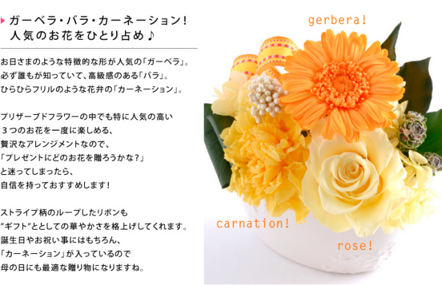 即日発送 プリザーブドフラワー ガーベラ ミグノン 即日発送 プリザーブドフラワー ガーベラ ミグノン