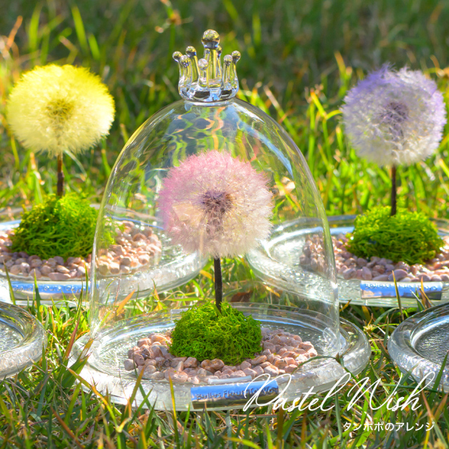 パステルウィッシュ