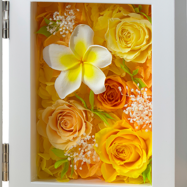 Belles Fleurs プリザーブドフラワーアレンジメント プリザーブドフラワー プルメリアプリフォトS