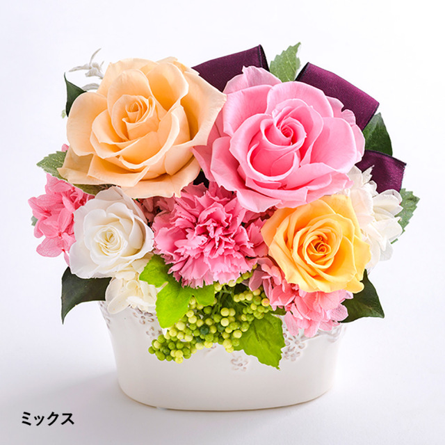 prin_mix_m.jpg?t=20211116153448