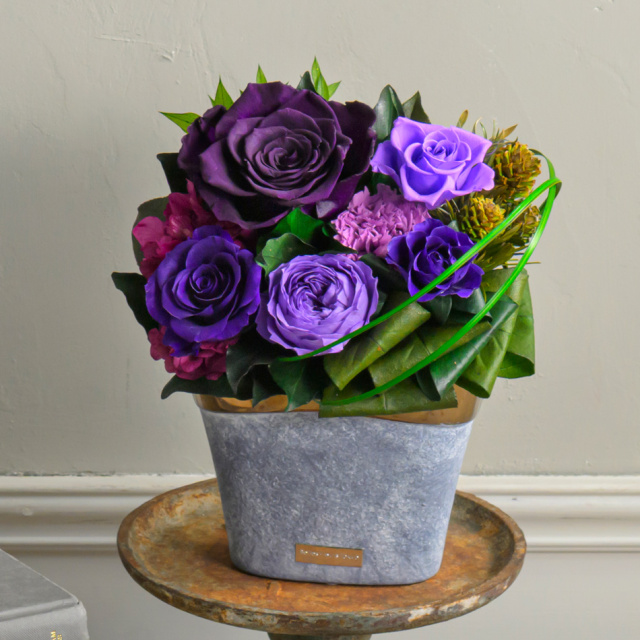 ro_v25.jpg?t=20250603175501