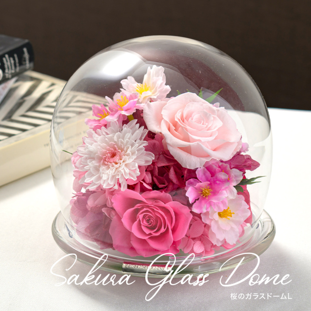 桜のガラスドームL プリザーブドフラワー ギフト｜ベル・フルール公式