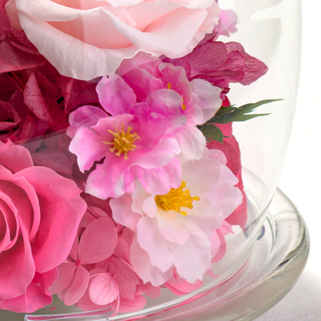 桜のガラスドームL プリザーブドフラワー ギフト｜ベル・フルール公式