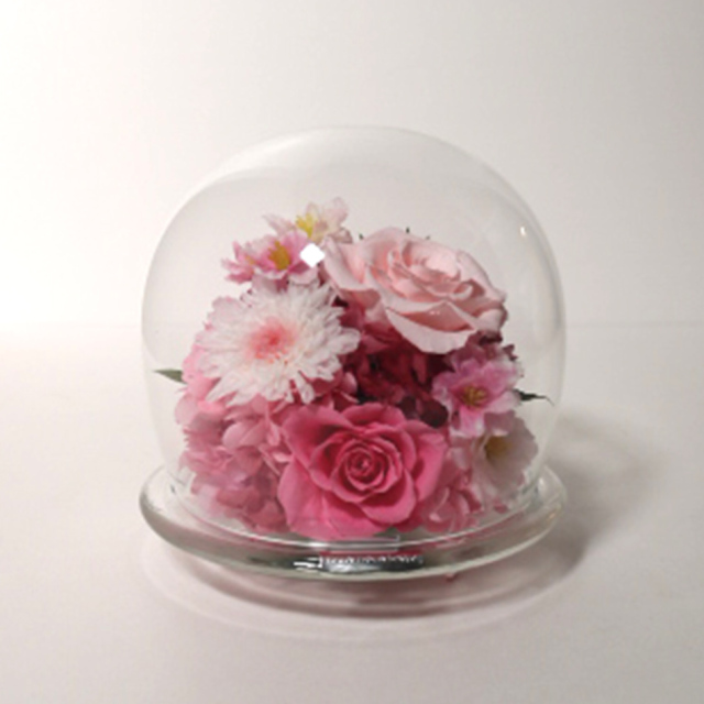 桜のガラスドームL プリザーブドフラワー ギフト｜ベル・フルール公式