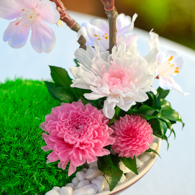 金蘭の春(サクラ) プリザーブドフラワー ギフト｜ベル・フルール公式