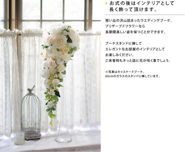 scas_4.jpg?t=20191210185724