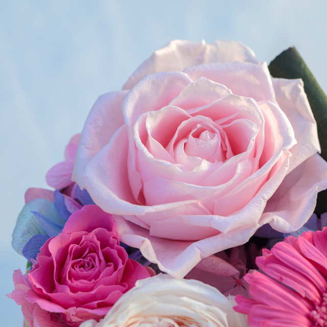 セリーンブルーム プリザーブドフラワー ギフト｜ベル・フルール公式