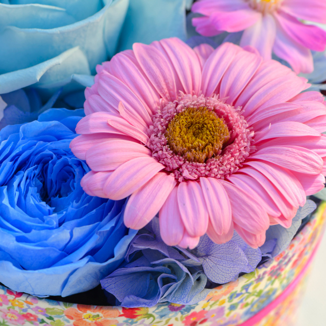 セリーンブルーム プリザーブドフラワー ギフト｜ベル・フルール公式