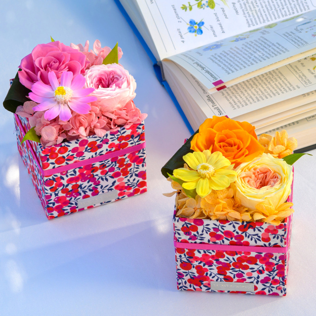 セリーンボックス