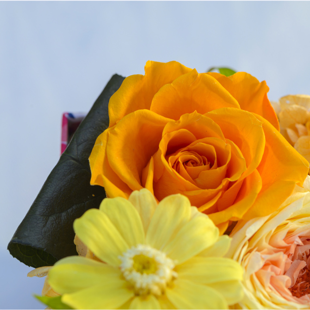 セリーンボックス プリザーブドフラワー ギフト｜ベル・フルール公式