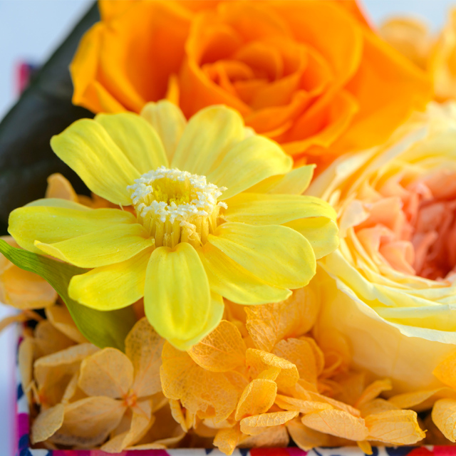 ベル・フルール　プリザーブドフラワー プリンセス プリザーブドフラワー｜ベル・フルール / Belles Fleurs