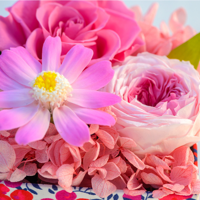 セリーンボックス プリザーブドフラワー ギフト｜ベル・フルール公式