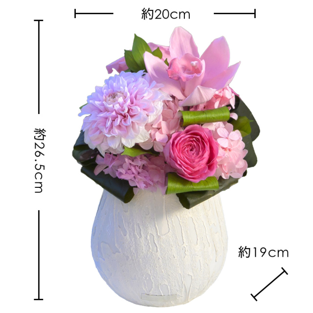 セリーンノブレス プリザーブドフラワー ギフト｜ベル・フルール公式