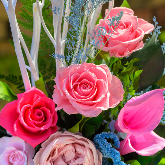 セリーンピンクサファイア プリザーブドフラワー ギフト｜ベル