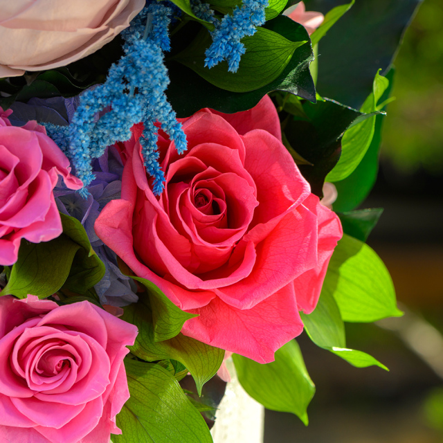 Belles Fleurs プリザーブドフラワーアレンジメント ピンクバラ 薔薇色の未来～プリザーブドフラワーアレンジメントピンク系（ケース