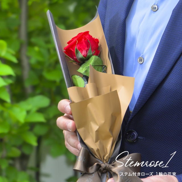 Les belles fleurs様 リクエスト 2点 まとめ商品 Les belles fleurs様 リクエスト 2点 まとめ商品 Les belles fleurs様